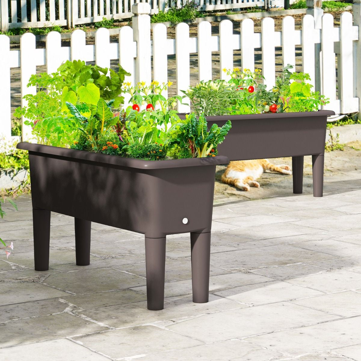 Set di 2 vasi rialzati da giardino con gambe rimovibili e sistema di drenaggio – design autoirrigante in due colori 